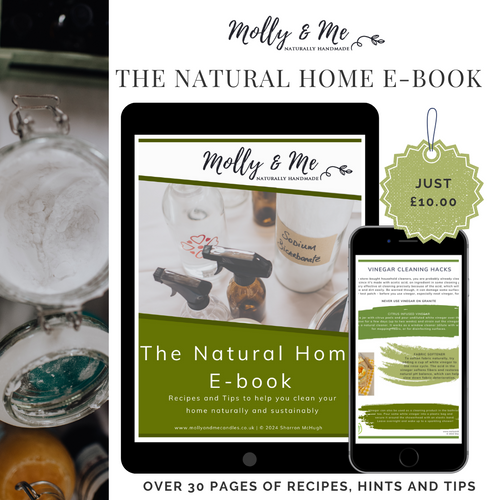 The Natural Home E-Book